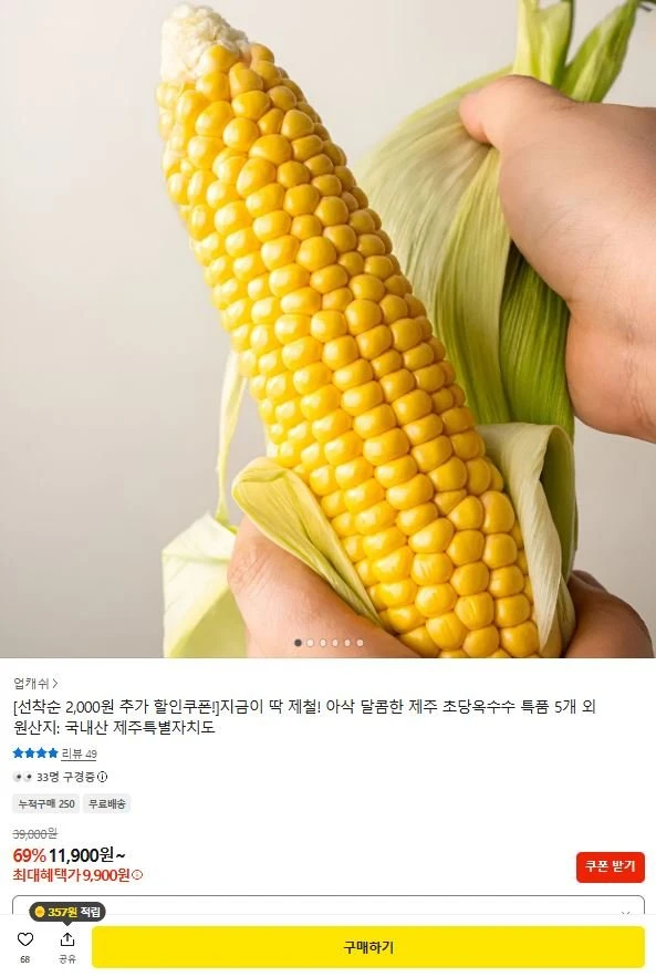 [카카오] 제주 초당옥수수 15cm이상 틈품 5개 (9,900원/무료)