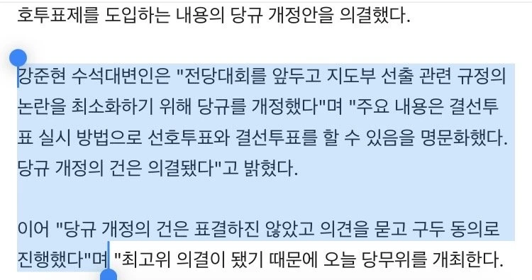 선호투표) 표결 없이 구두 동의 ㅋㅋ