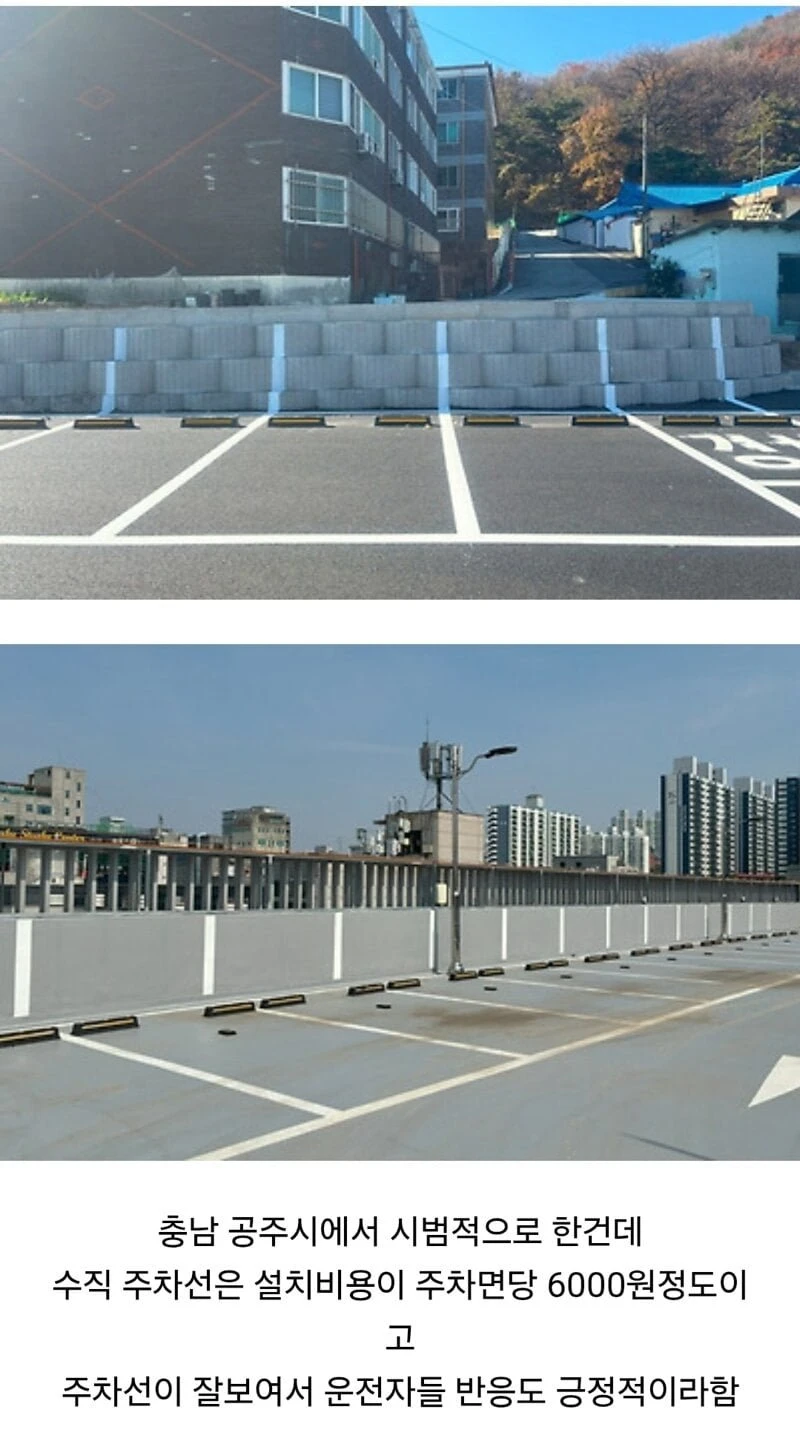 반응 좋다는 충남 공주의 수직 주차선