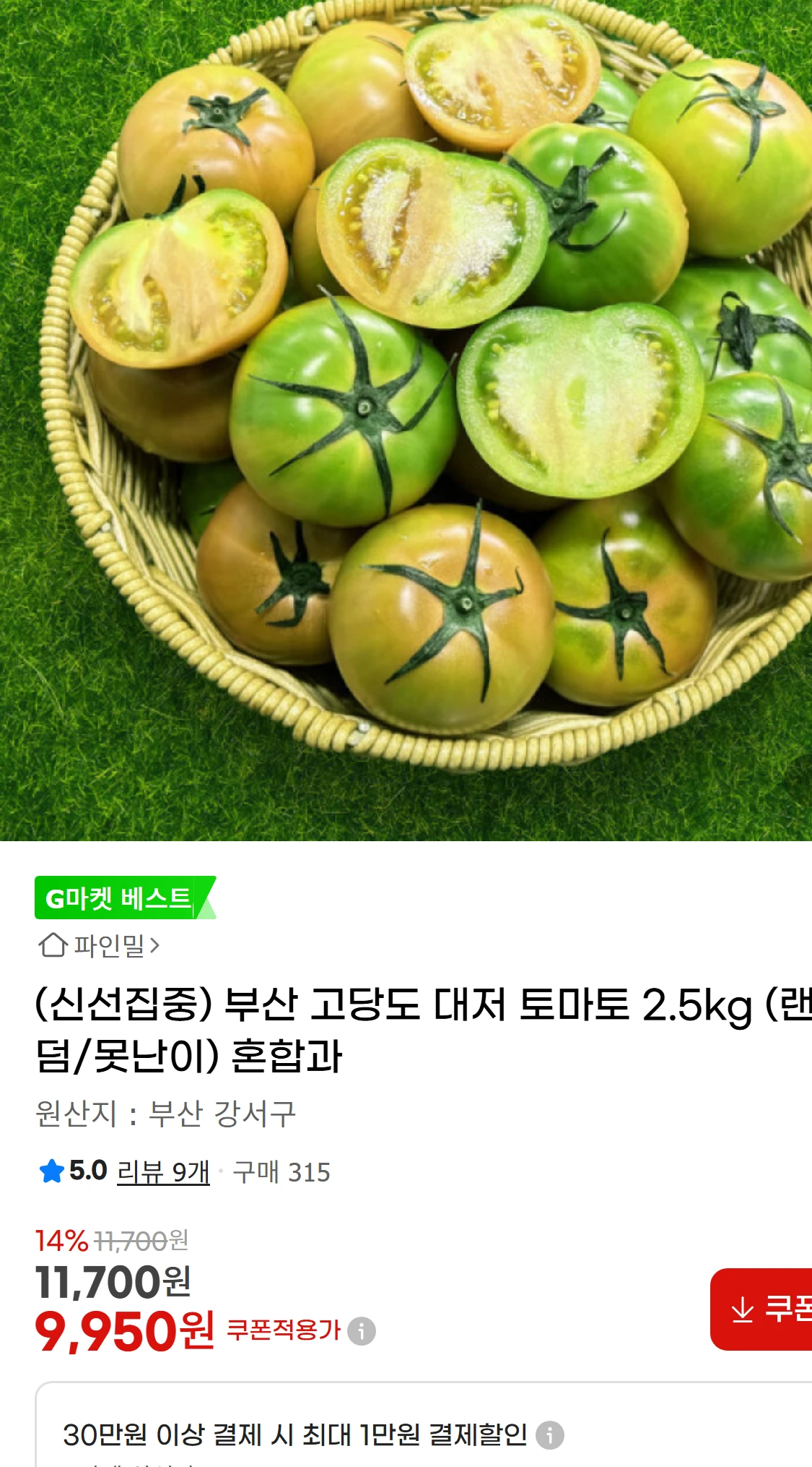 [지마켓](신선집중) 부산 고당도 대저 토마토 2.5kg(11,700원)