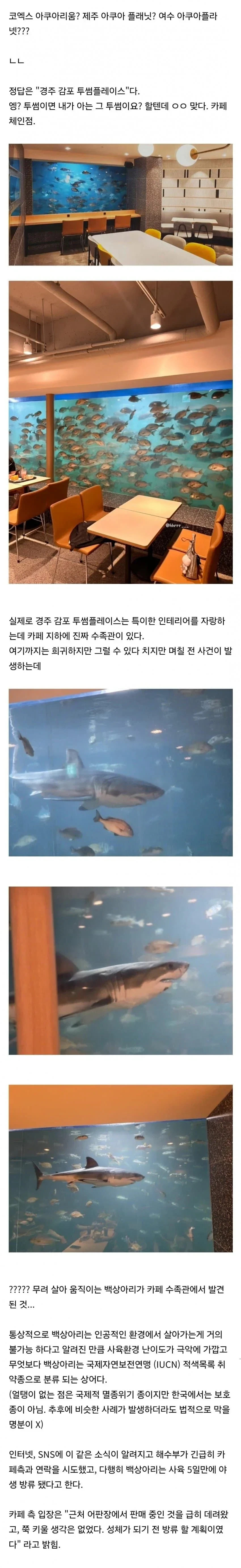 5일간 전세계 1위급이었던 한국 수족관 ㄷㄷ.jpg