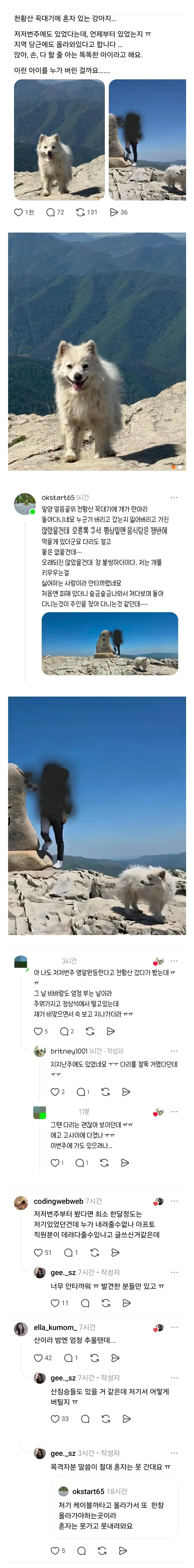 펌) 천황산 꼭대기에 유기된 강아지.jpg