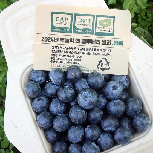 [ㅋㅍ]국산 무농약 햇블루베리 영동 생블루베리 생과 250g 500g 1kg( 17,910원, 35% 할인)