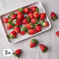 [ㅋㅍ]설향 딸기 대과, 500g, 3개( 18,270원, 41% 할인)
