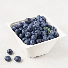 [ㅋㅍ]산지직송 아주마 무농약 인증 영동 블루베리, 250g, 1개( 14,730원, 36% 할인)