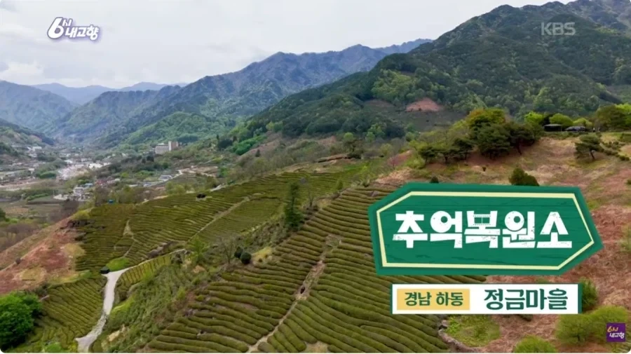 요즘 6시 내고향 새로운 코너