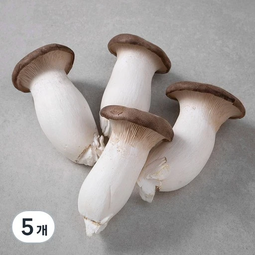 [ㅋㅍ]친환경 새송이버섯, 400g, 5개( 8,850원, 24% 할인)