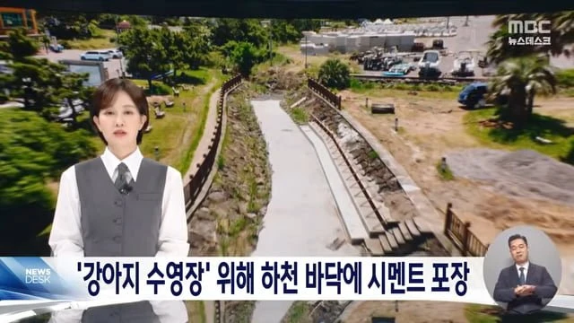 멀쩡한 하천을 강아지 수영장 만든 제주 서귀포시 논란