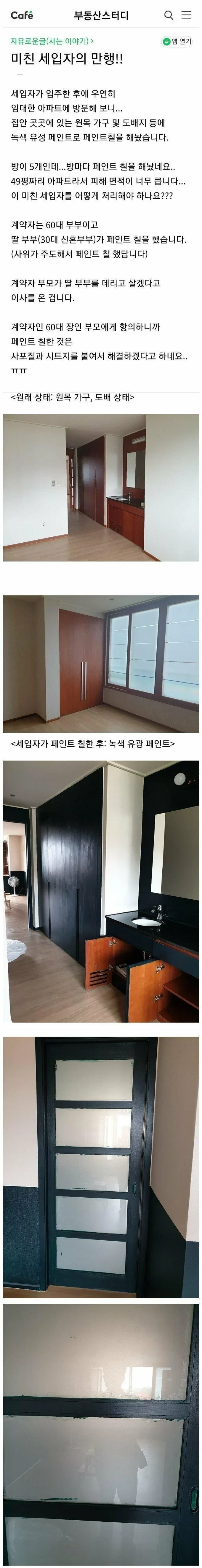 미친 세입자의 만행