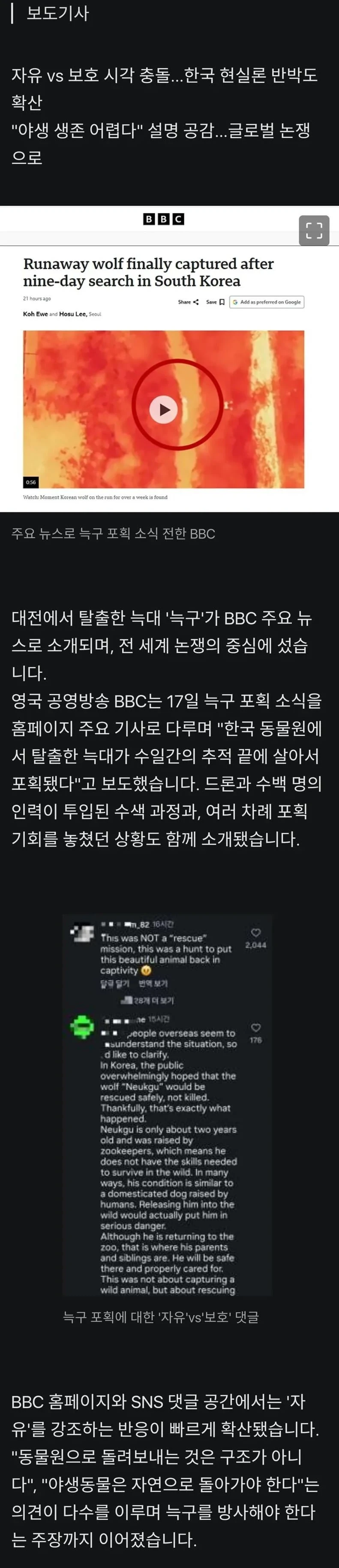 현재) 난리난 늑구 풀어달라는 해외 여론 ㄷㄷ.jpg