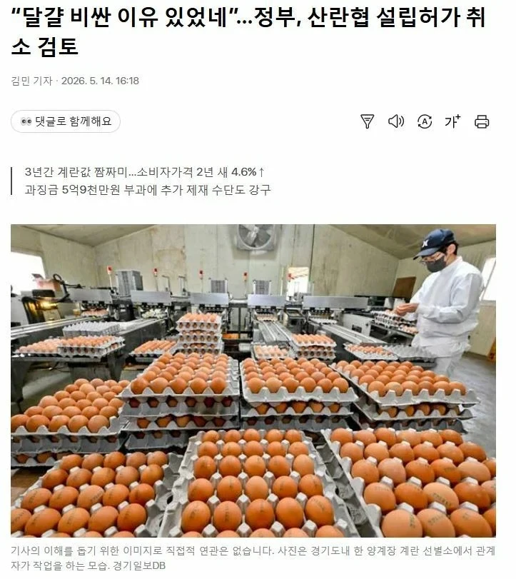 그동안 달걀이 비쌌던 이유