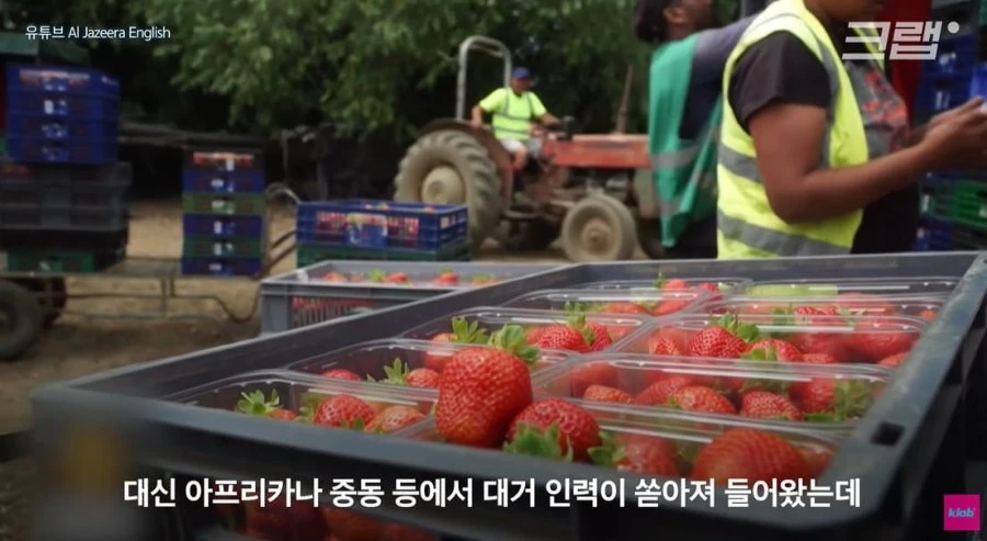 브렉시트 이후 이민자 2배 급증