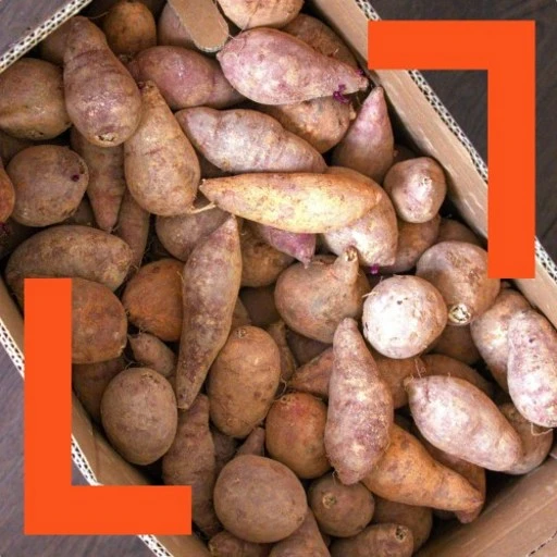 [ㅋㅍ]파머스넷 한입 고구마, 5kg 한입(60g..., 1박스( 8,790원, 47% 할인)