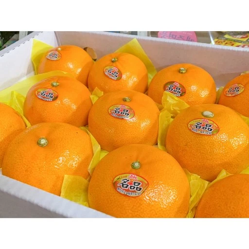 [ㅋㅍ][당도보장]허니삼구 새콤달콤 고당도 프리미엄 천혜향 3KG 5KG, 5KG내외(14-2..., 1박스( 43,510원, 20% 할인)