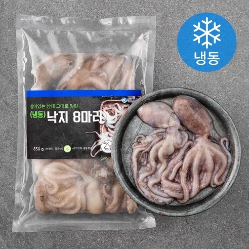 [ㅋㅍ]살맛나요 살아있는 상태 그대로 얼린 낙지 8미 (냉동), (8미)850g, 1팩, (8미)850g × 1팩( 11,490원, 18% 할인)