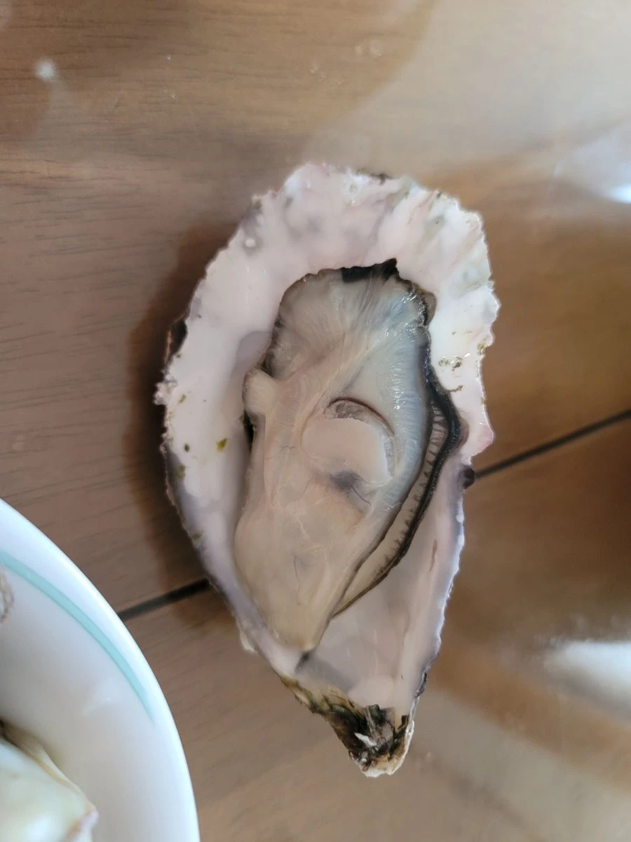 굴을 삶은 결과 입니다