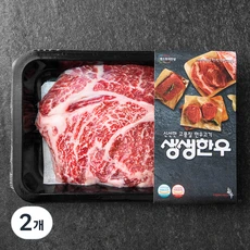 [ㅋㅍ]생생한우 1등급 숙성등심 구이용 (냉장), 200g, 2개( 30,740원, 25% 할인)