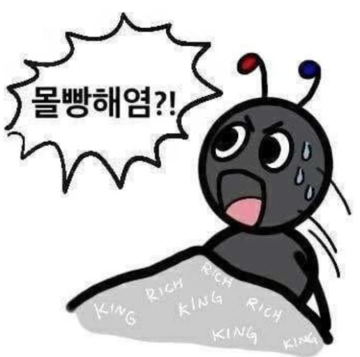 40만전자 가나