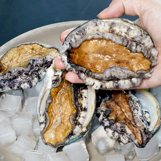 [ㅋㅍ]바다in연 프리미엄 활전복 1kg 완도산 산소포장, 1kg 12호 (특..., 1개( 24,130원, 26% 할인)