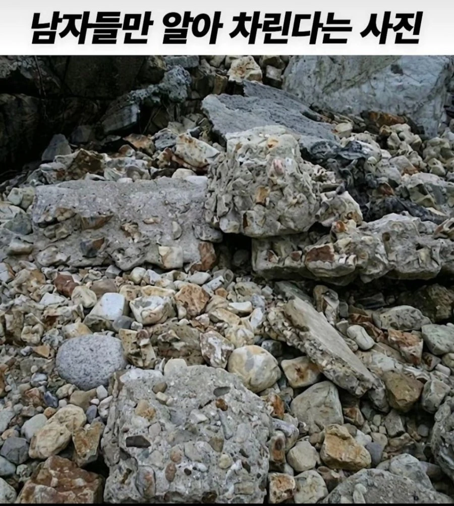 남자들만 알아 차린다는 사진