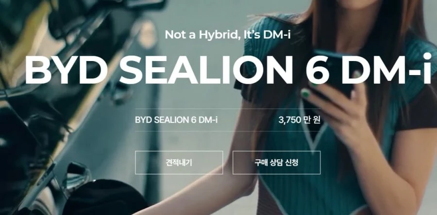 현기차가 현재 큰 위기에 빠진 이유