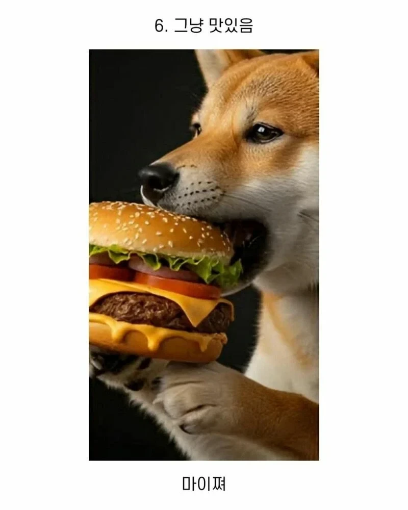 20260221150030_8lrGuJX6yy.webp