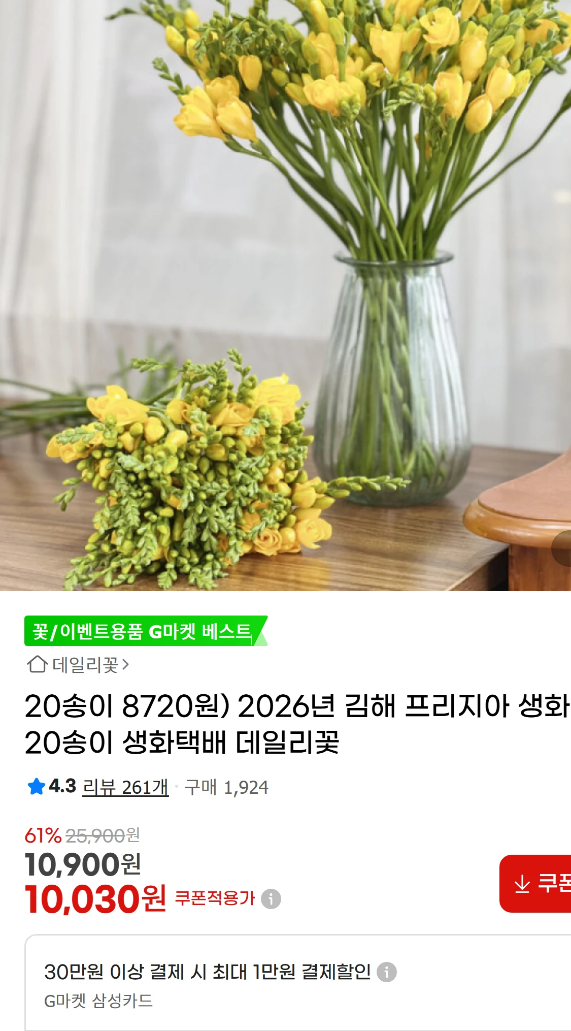 [지마켓]20송이 8720원) 2026년 김해 프리지아(10,030원)