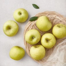 [ㅋㅍ]시나노골드 미니사과, 1.5kg(소과, ..., 1개( 9,900원, 32% 할인)