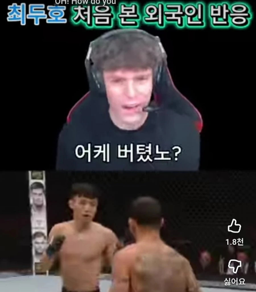 일베식 손투리 구분법 jpg