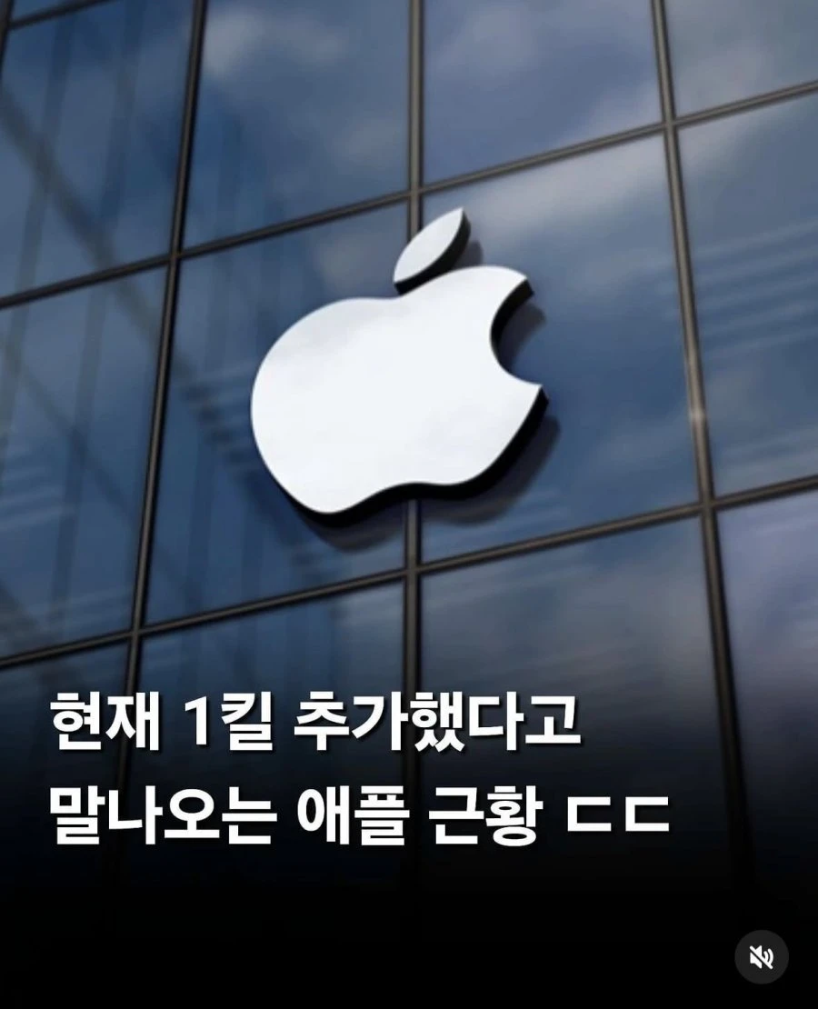 애플의 쓰레기짓거리 모음