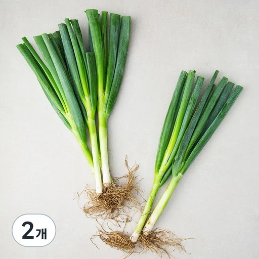 [ㅋㅍ]흙대파, 750g, 2개( 1,480원, 67% 할인)