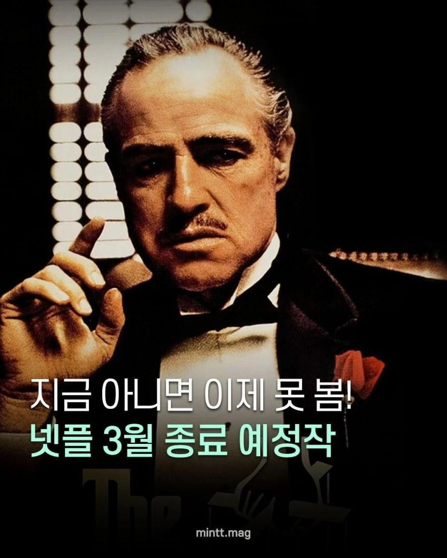 이번달 넷플릭스 종료 예정작.List