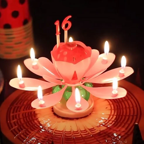 [ㅋㅍ]스토리빙 생일 축하 초 연꽃 멜로디 선물 파티 용품 + 숫자 토퍼 19p 세트, 핑크( 1,620원, 60% 할인)