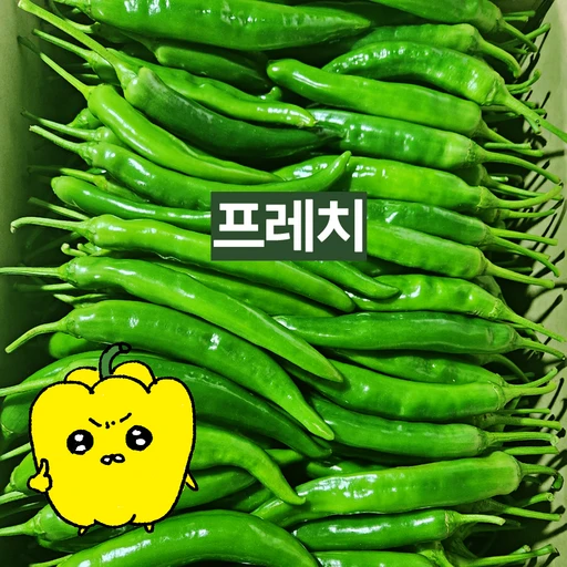 [ㅋㅍ]프레치 국내산 싱싱 아삭이고추 오이고추, 상 1kg, 1개( 6,200원, 44% 할인)