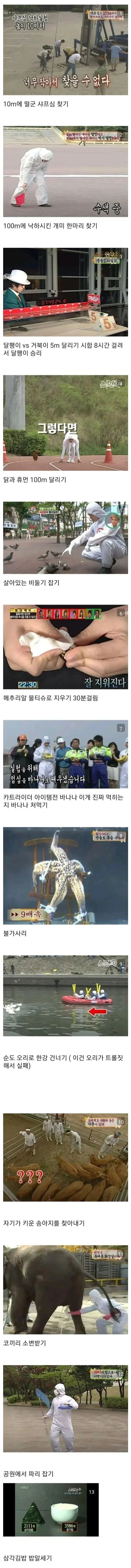 스펀지에서 한 ㅁㅊ 실험들