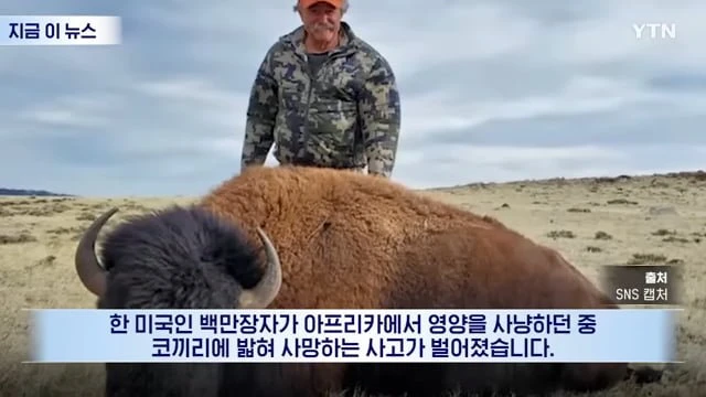 아프리카 동물 박제 취미, 사냥광 백만장자, 코끼리에 짓밟혀 사망