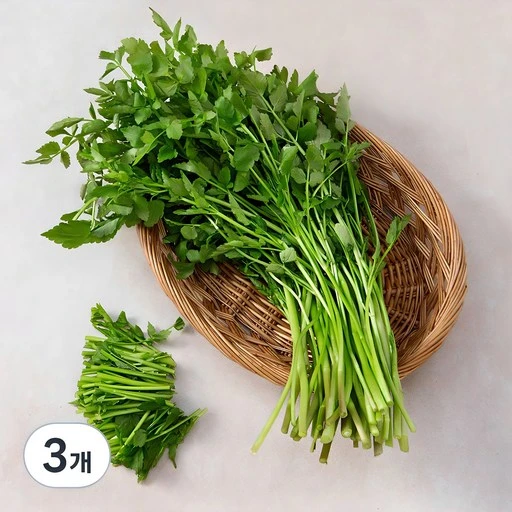 [ㅋㅍ]국내산 청도미나리, 200g, 3개( 5,970원, 48% 할인)