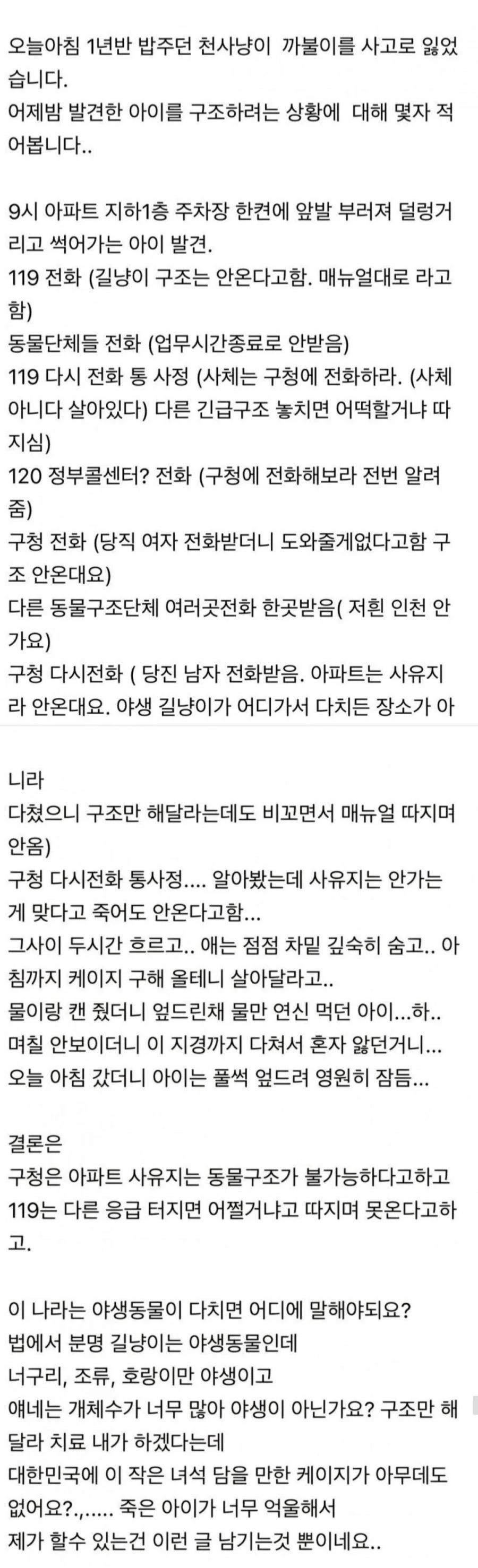 119가 안와서 울분을 토하는 캣맘