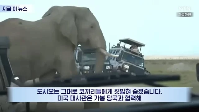 20260428114251_QixMZUocLJ.png