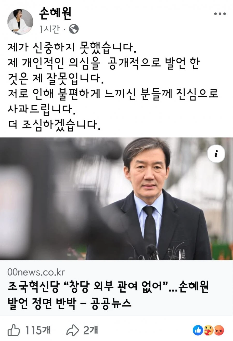 손혜원 전의원의 급사과