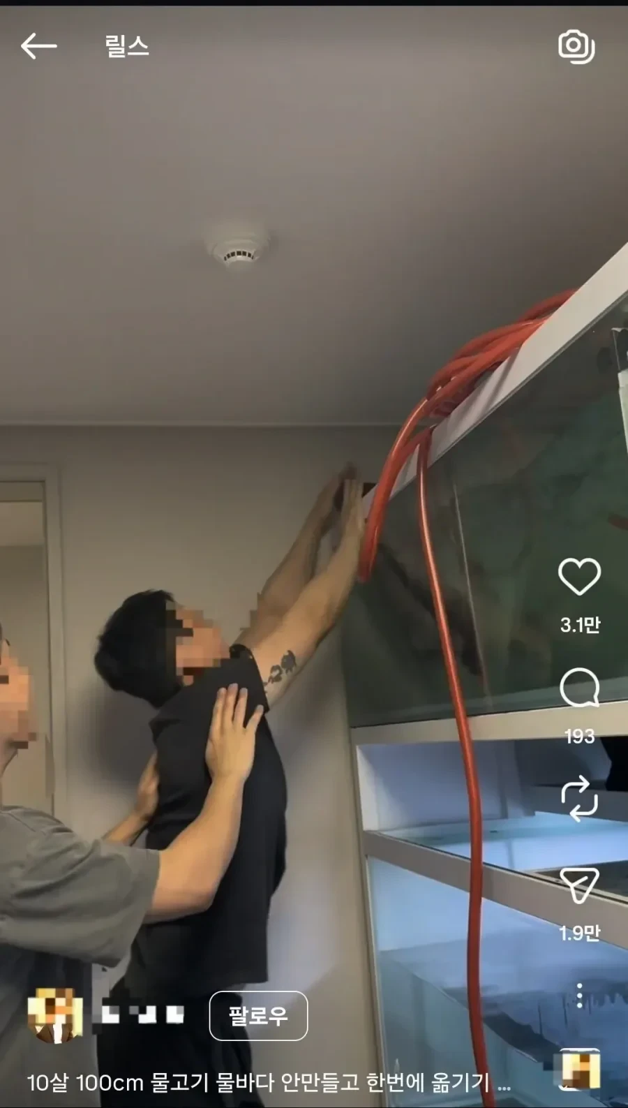 아파트에 2톤짜리 어항 설치한 남성