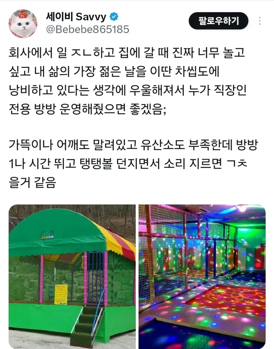 성인용 방방 후기.jpg