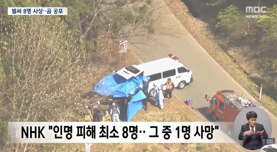 MBC) 벌써 사망자가.. 일본 열도, 곰 출몰 인명 피해 속출