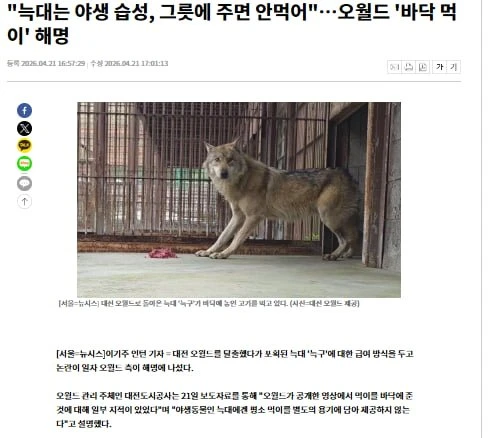 늑구 밥을 그릇에 안 준 이유