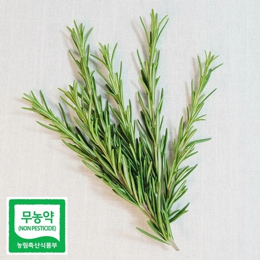 [ㅋㅍ]데코용로즈마리 생잎 허브 가니쉬 로즈마리, 50g, 1개( 4,700원, 18% 할인)