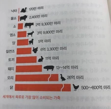 세계적으로 많이 먹는 고기