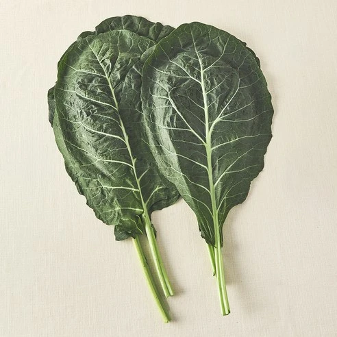 [ㅋㅍ]유기농 녹즙용 케일, 500g, 1개, 500g × 1개( 3,290원, 16% 할인)