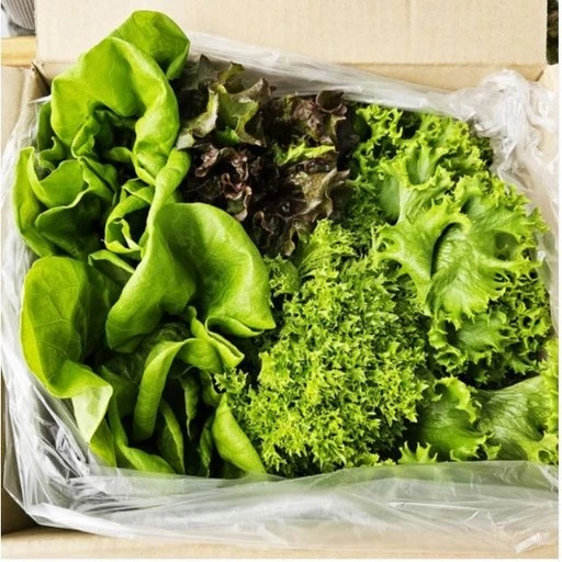 [ㅋㅍ]푸리팜 유러피안 샐러드야채 1kg 모듬 채소 [당일수확][당일배송]( 7,930원, 35% 할인)