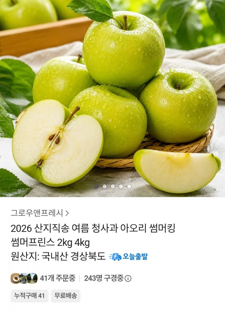 [톡딜] 2026 여름 청사과 아오리 2kg (8,290원 / 무배)