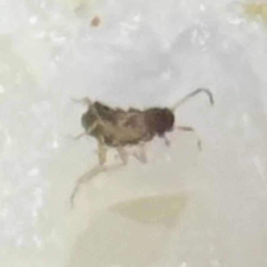 20260414094157_U2OmeOfDVl.jpg